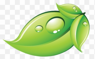 Green Leaf Transparent Background Png Mart