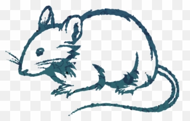 Rat Clipart Drawing Transparent Free For - Rat Png Drawing,Rats Png