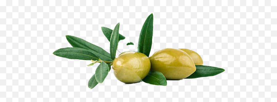 Olive Png Image - Olive,Olive Png