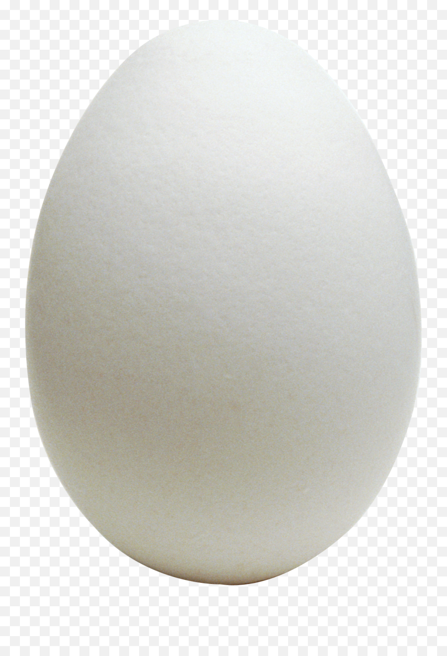 Egg Png Free Download 7 Images - Transparent Egg Png,Egg Png