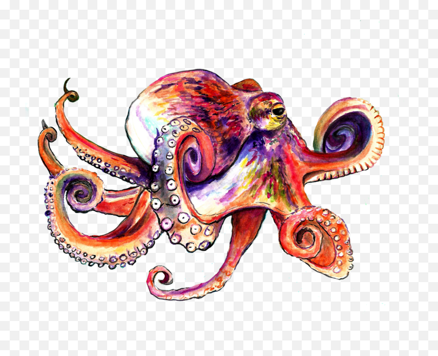 Download Octopus Png Image With No Background - Pngkeycom Illustration,Octopus Transparent Background