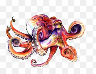 Download Octopus Png Image With No Background - PNGkeycom Illustration