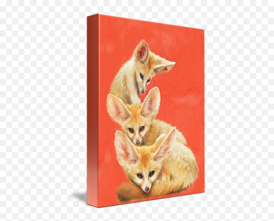 Three Fennec Foxes By Jane Schnetlage - Fennec Fox Png,Fennec Fox Png