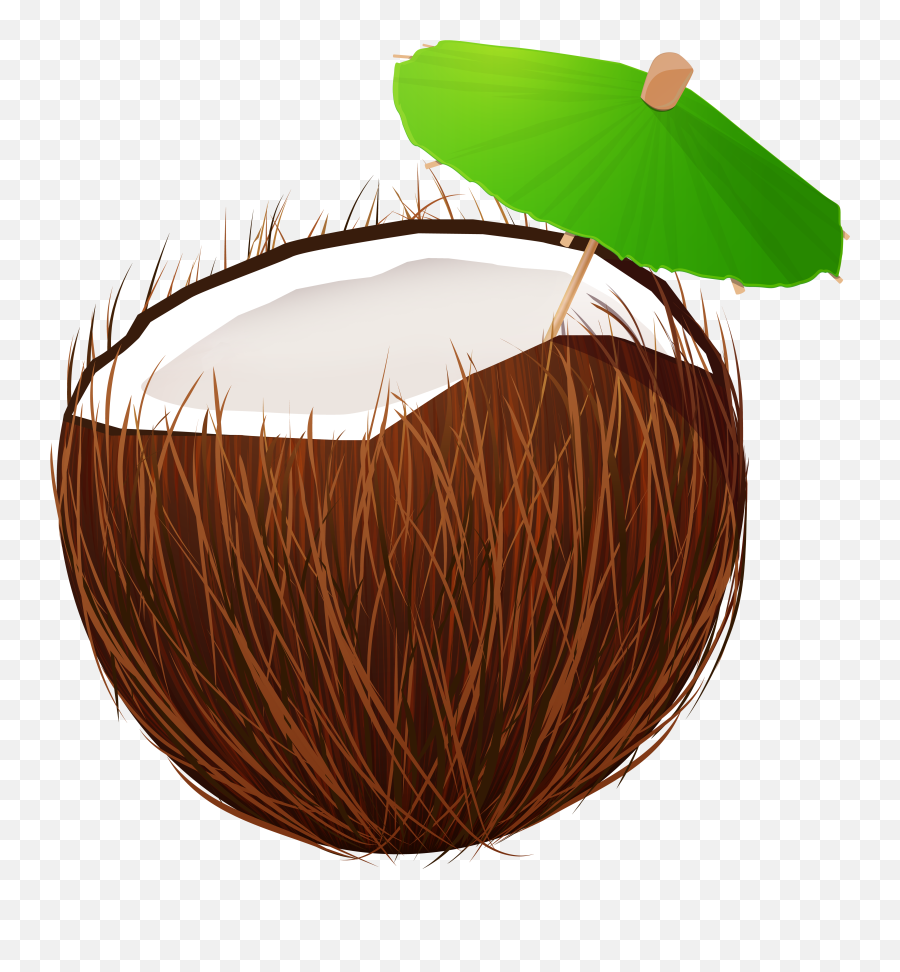 Coconut Drink Png Free - Transparent Coconut Drink Png,Coconut Transparent Background