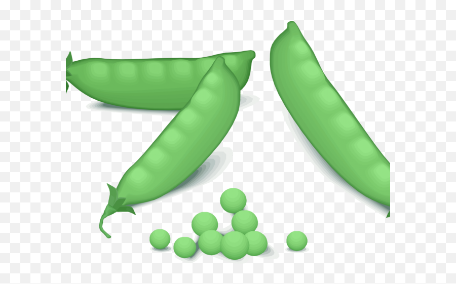 Pea Clipart Snow - Green Pea Clipart Png,Pea Png