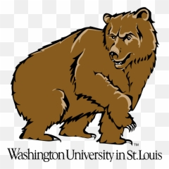 Washington Bears Logo Png Transparent U0026 Svg Vector - Freebie Mallinckrodt Institute Of Radiology,Bear Logo Png