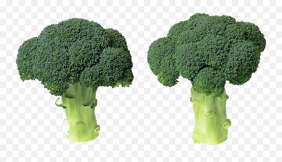 Green Broccoli Png File - Superfood,Broccoli Png