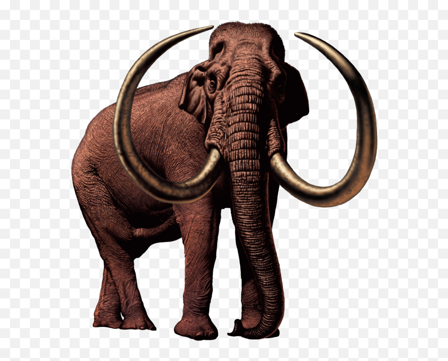 Columbian Mammoth - Mammoth Png,Mammoth Png