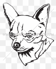 Clipart Dog Chihuahua Transparent - Drawing Png,Chihuahua Png