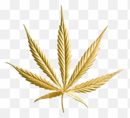 Gold Leaf Hemp Corp Png