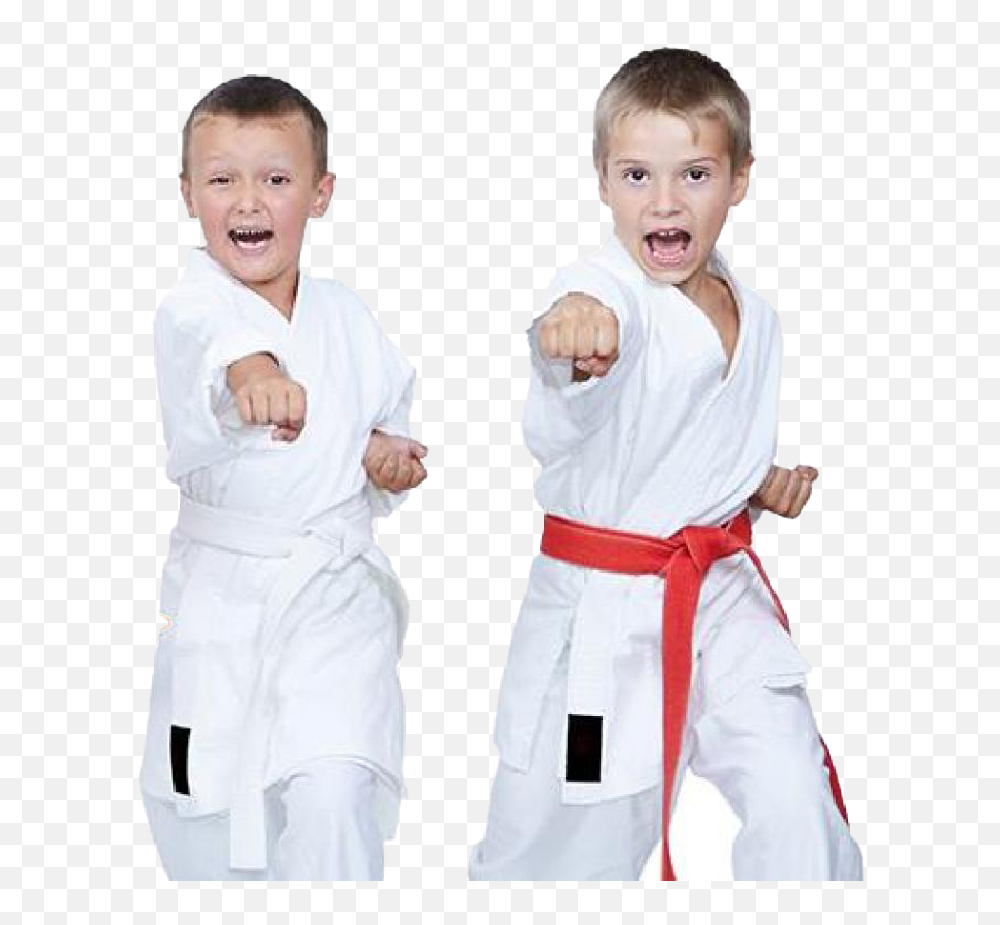Karate Png Hd Quality - Kyokushin Kids,Karate Png