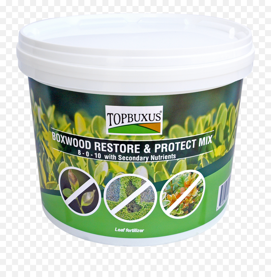 Introducing Topbuxus Boxwood Restore U0026 Protect Mix - Waxworm Png,Boxwood Png