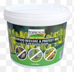 Introducing Topbuxus Boxwood Restore U0026 Protect Mix - Waxworm Png,Boxwood Png