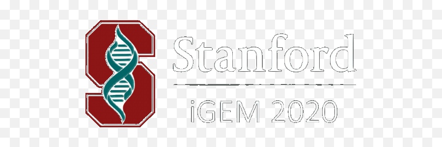 Teamstanfordmodel - 2020igemorg Vertical Png,Stanford Logo Transparent