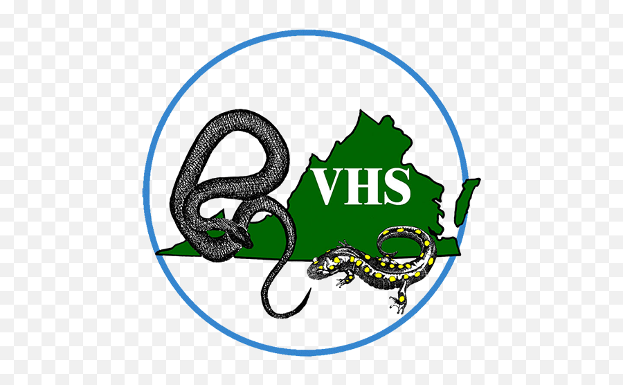 Virginia Herpetological Society - Virginia Herpetological Society Png,Logo Quiz 2