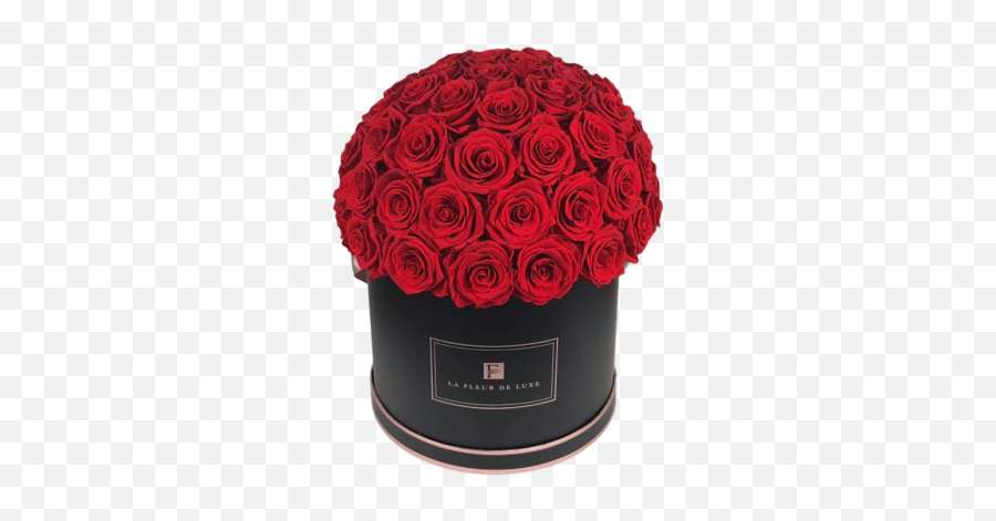 Luxury Real Roses That Last A Year - Garden Roses Png,Real Rose Png