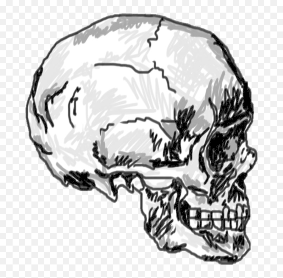 Skull Png Tumblr - Collection Of Free Drawing Tumblr Skull Skull Drawing Transparent Background,Skull Png Transparent
