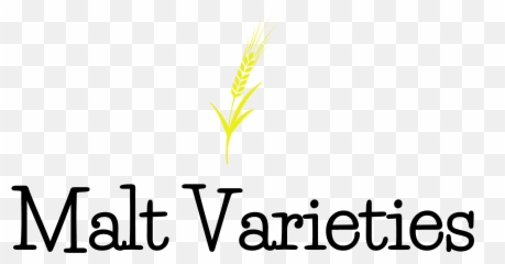 Malt The Brew Enthusiast - Vertical png