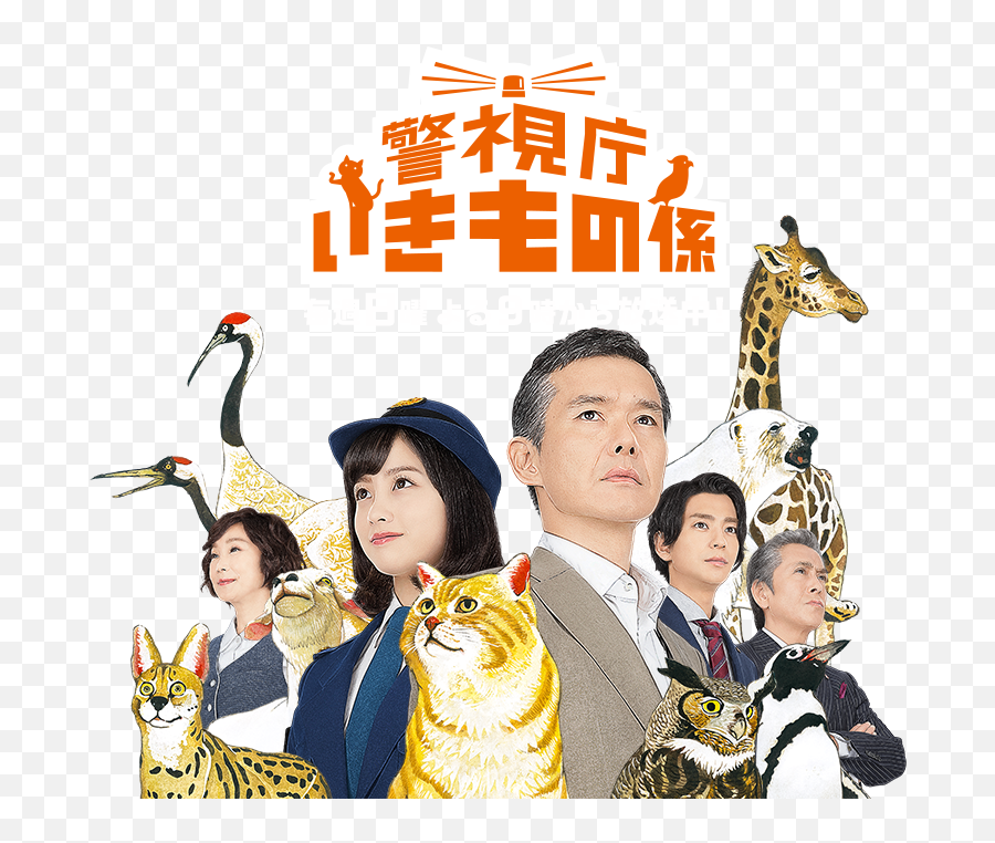 Part2 - Keishicho Ikimono Gakari Png,Icon Folder Minami Kamakura