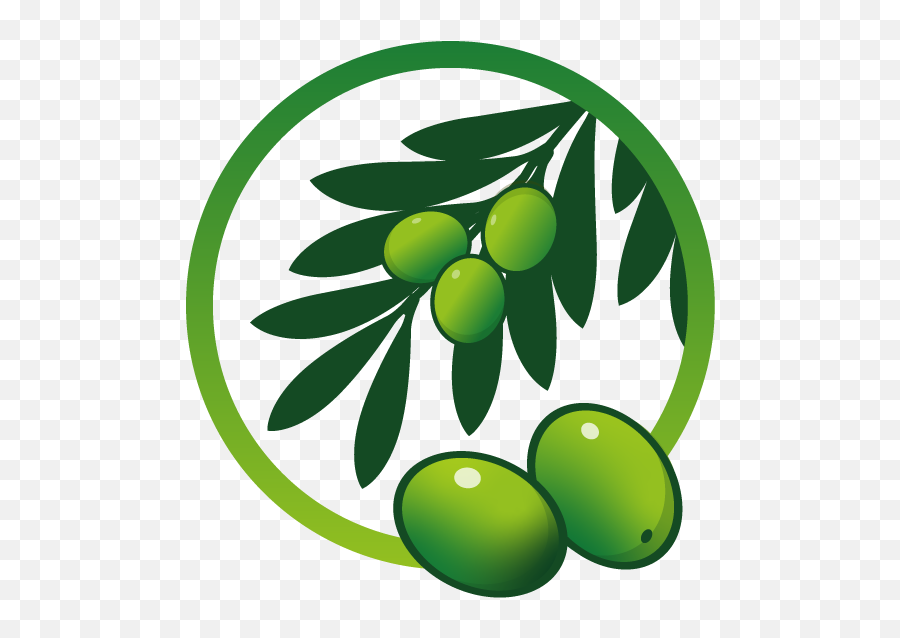 Bonderm 10 Olive - Cosmetics Quimivita Fresh Png,Cosmetics Icon Vector