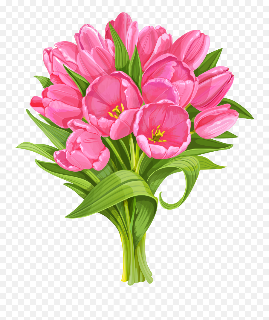 Library Of Clip Transparent Download Tulip Flower Png Files - Transparent Background Flowers Clipart,Tulip Transparent