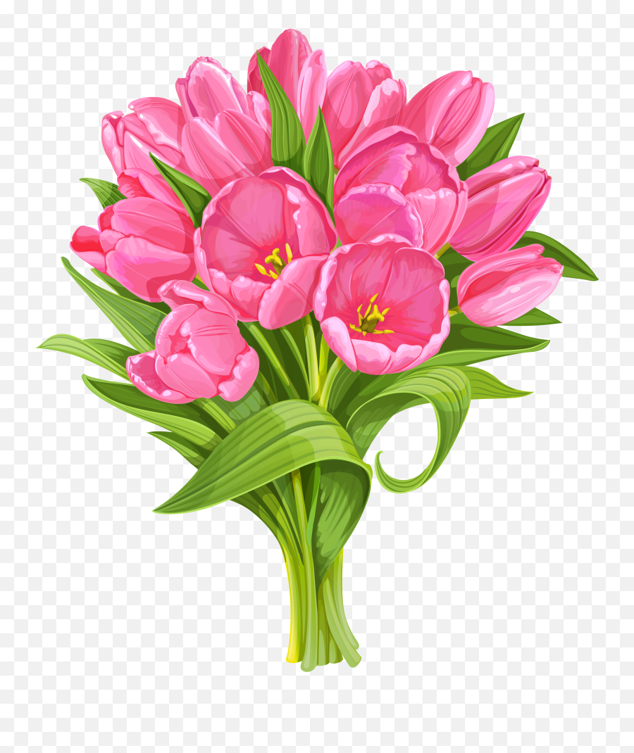 Library Of Clip Transparent Download Tulip Flower Png Files Transparent Background Flowers Clipart Free Transparent Png Images Pngaaa Com