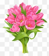 Library Of Clip Transparent Download Tulip Flower Png Files - Transparent Background Flowers Clipart