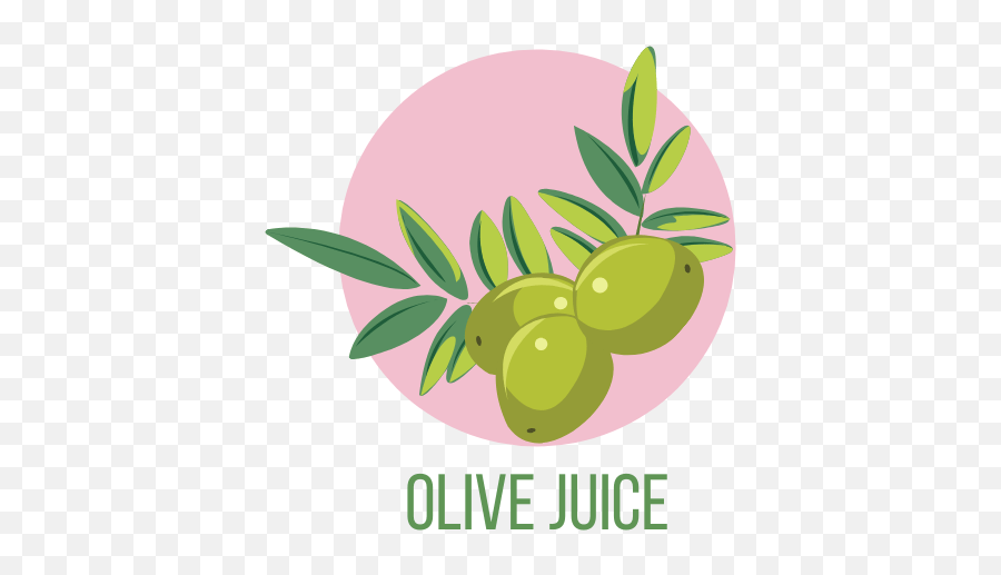 Blog U2013 Olive Juice - Fresh Png,Olive Icon