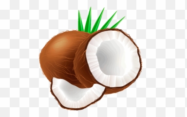 Coconut Clipart - Transparent Background Coconuts Clipart Png,Coconut Png