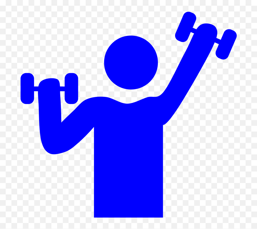 Gym Weight Lifting Muscle - Gym Clip Art Png,Weight Png