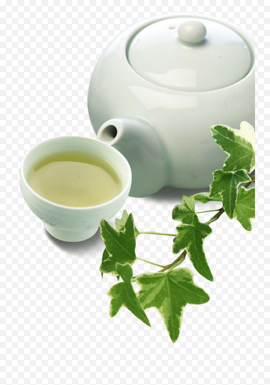 Green Tea Cup Chawan Teaware - Ideapie Tea Png Download,Tea Png