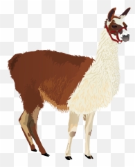 Llama Clip Art - Alpaca Png Download 19772313 Free Animal Llama Png,Llama Png