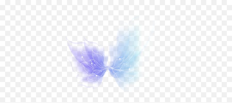 Download Realistic Fairy Wings Png Editing Effects - Macro Photography,Fairy Wings Png
