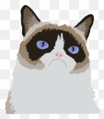 Grumpy Cat Clipart Svg - Cat Meme Pixel Png,Grumpy Png
