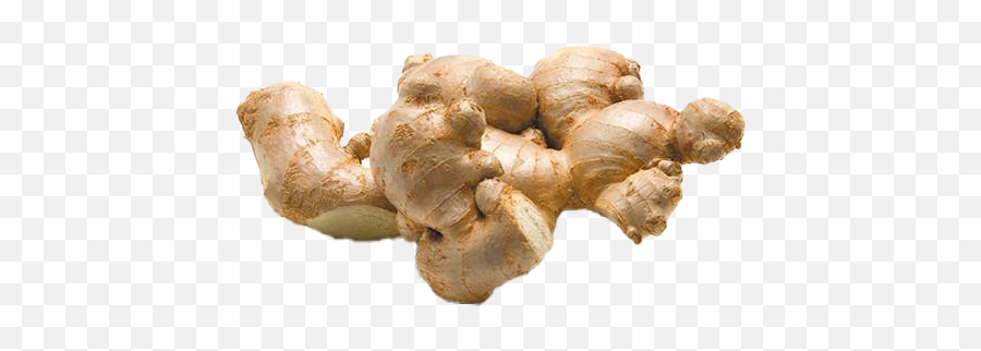 Ginger Png Photos Play - Ginger,Ginger Png