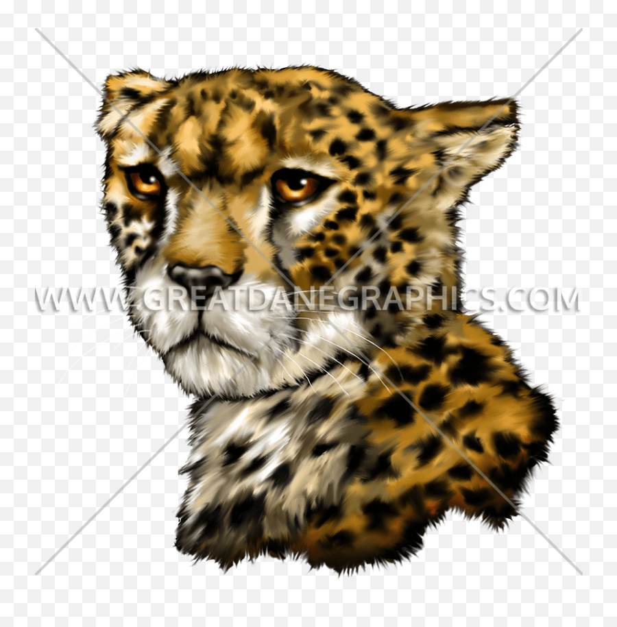 Cheetah Production Ready Artwork For T - Shirt Printing Clip Art Png,Cheetah Transparent