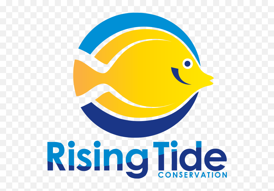 Board Of Directors U2013 Rising Tide Conservation - Rising Tide Conservation Logo Png,Tide Logo Png