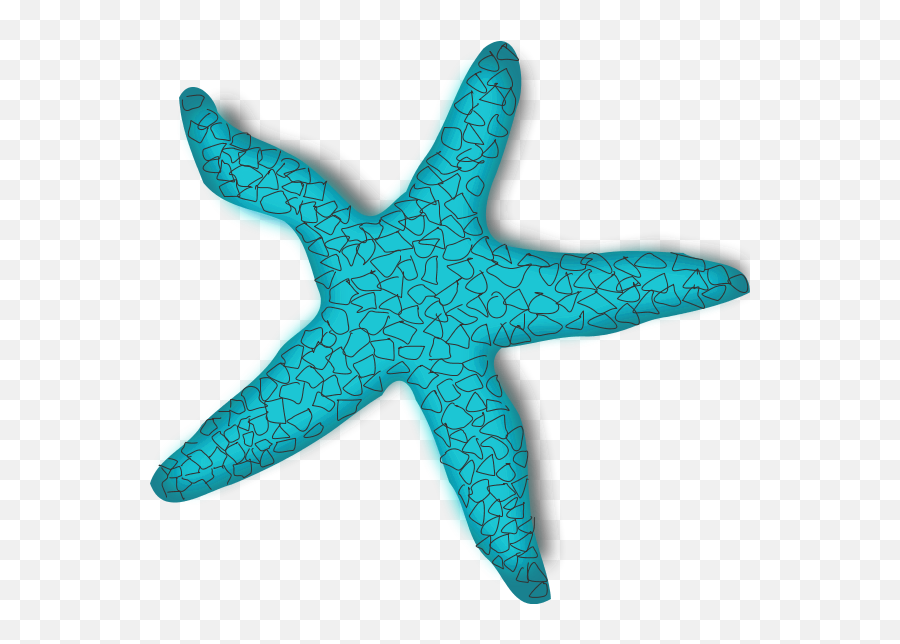 Starfish Clipart Png - Sea Stars Clipart Png,Starfish Clipart Png