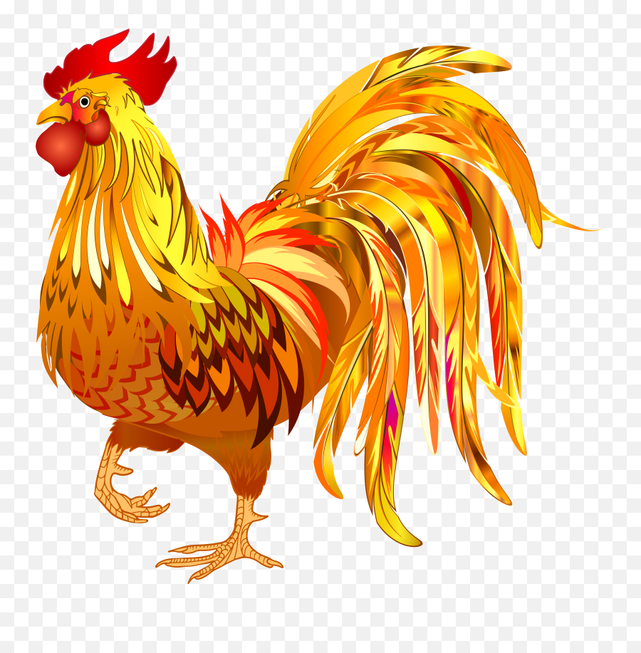 Download Rooster Png Image With No