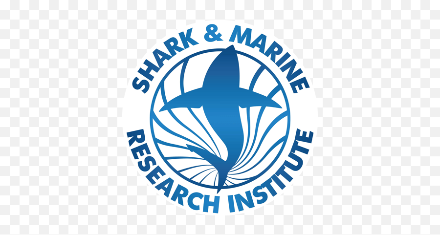 Shark Marine Research Institute - Shark And Marine Research Institute Png,Shark Logo Brand