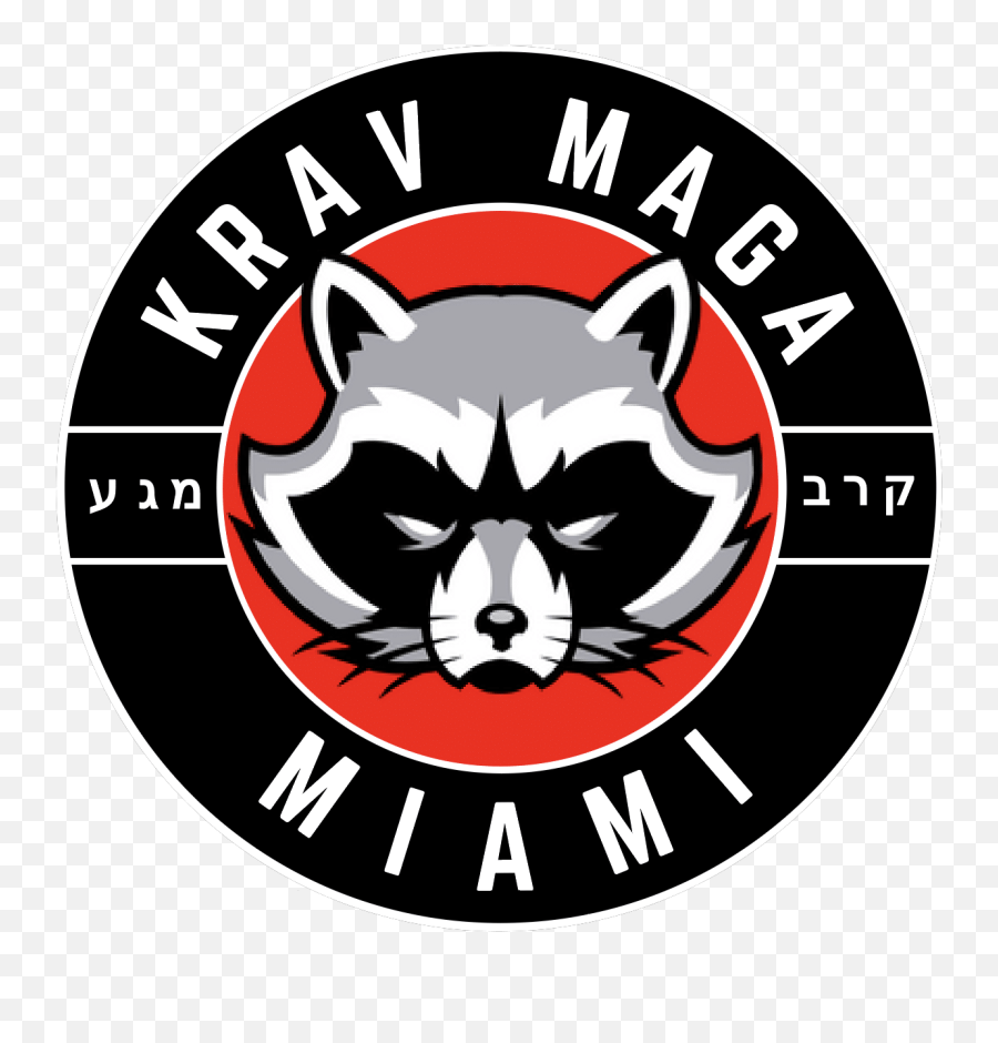 Krav Maga Miami Schoolu200e U2013 First Class Free All Levels - Gwanghwamun Gate Png,Krav Maga Logo
