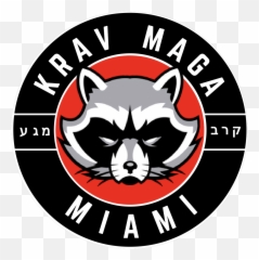 Krav Maga Miami Schoolu200e U2013 First Class Free All Levels - Gwanghwamun Gate Png,Krav Maga Logo