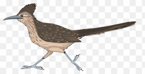 Woodpecker Png Photo
