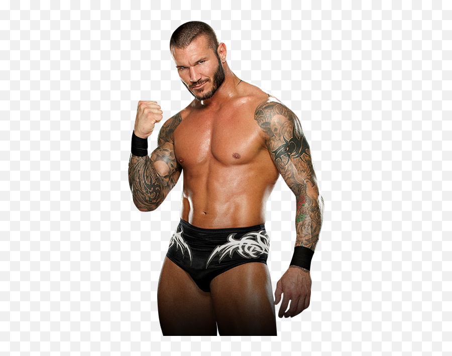Randy Orton Png 3 Image - Randy Orton Wwe Png,Randy Orton Png