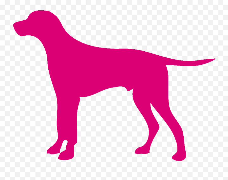 pink dog logo