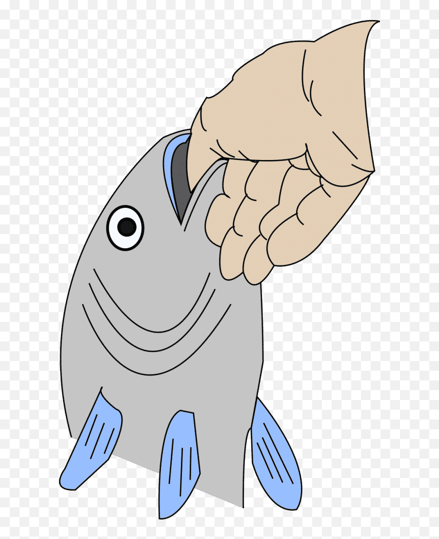 Download With A Largemouth Bass You Always Start By Grabbing - Properly Hold A Largemouth Bass Png,Largemouth Bass Png