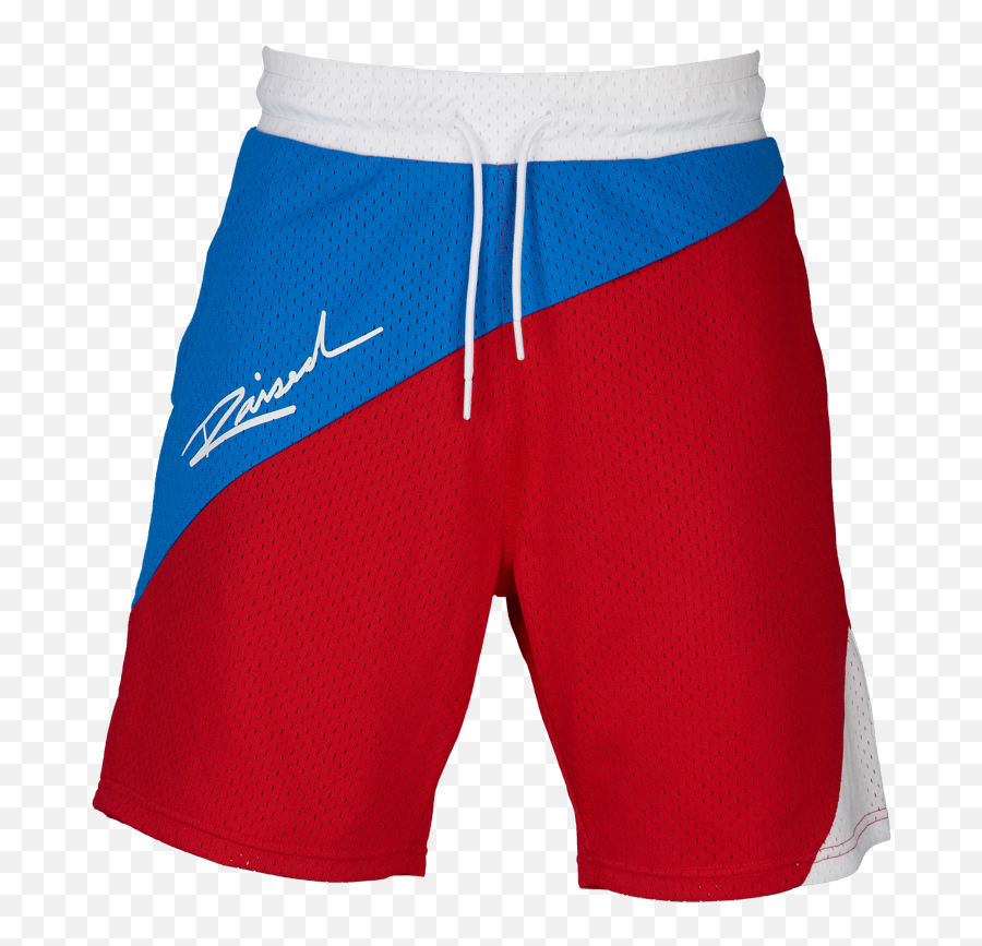 Raised U2013 Born In Springfield Ny - Bermuda Shorts Png,Nike Icon Mesh Shorts