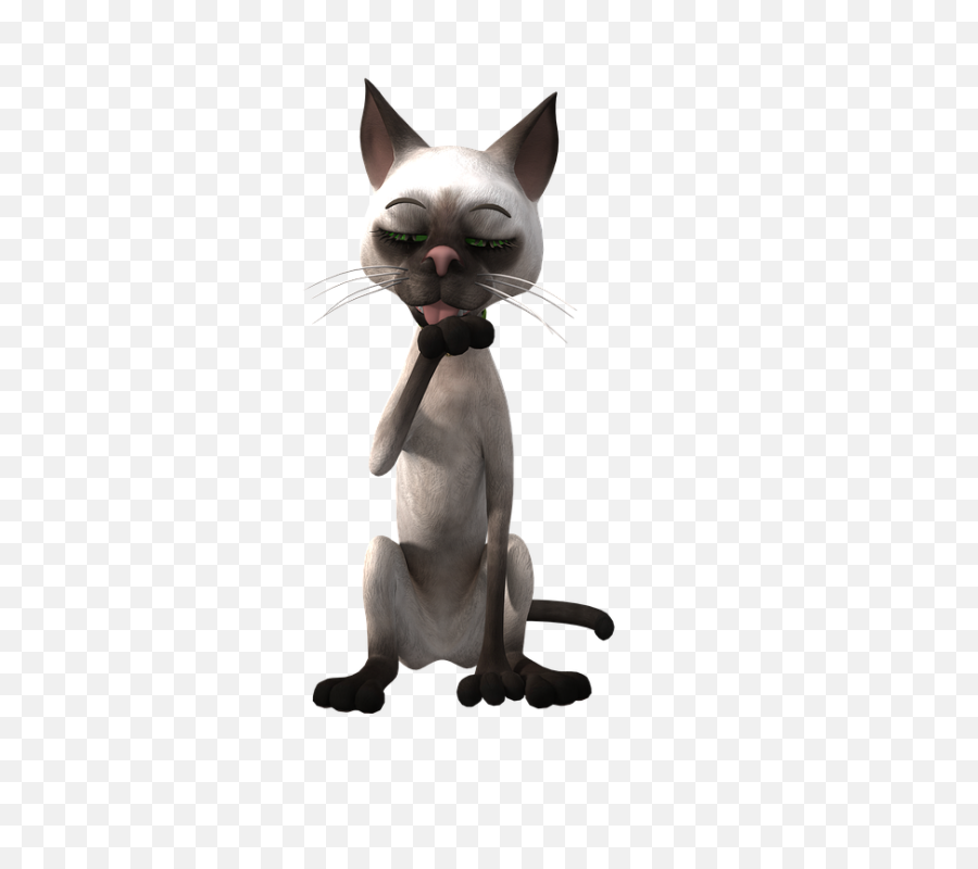 Funny Cat Png - Funny Cat Png Transparent Highresolution Cat Toon,Tupac Transparent
