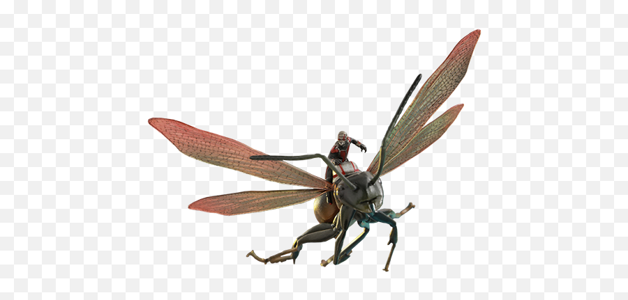 Marvel Ant - Ant Man Flying Ant Png,Antman Png
