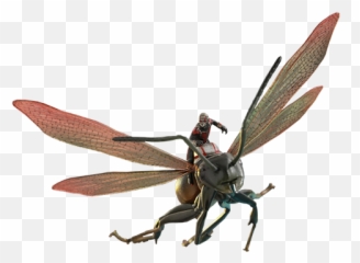 Marvel Ant - Ant Man Flying Ant Png,Antman Png